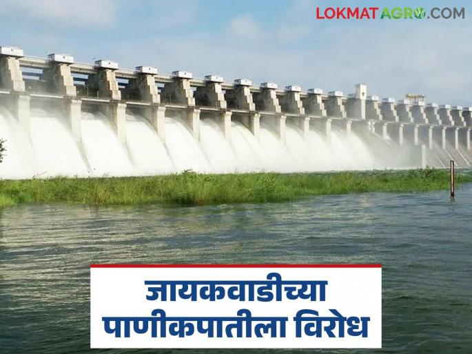 Opposition to Jayakwadi water cut; All-party delegation of public representatives to meet Chief Minister | जायकवाडीच्या पाणीकपातीला विरोध; सर्वपक्षीय लोकप्रतिनिधी शिष्टमंडळ मुख्यमंत्र्यांना भेटणार Opposition to Jayakwadi water cut; All-party delegation of public representatives to meet Chief Minister | जायकवाडीच्या पाणीकपातीला विरोध; सर्वपक्षीय लोकप्रतिनिधी शिष्टमंडळ मुख्यमंत्र्यांना भेटणार