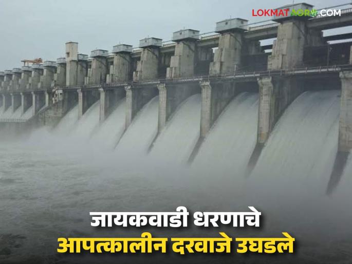 Jayakwadi's emergency gates opened for the first time in three years; 1.13 lakh cusecs discharged from 27 gates | तीन वर्षांत पहिल्यांदाच जायकवाडीचे आपत्कालीन दरवाजे उघडले; २७ दरवाजांतून १.१३ लाख क्सुसेक विसर्ग Jayakwadi's emergency gates opened for the first time in three years; 1.13 lakh cusecs discharged from 27 gates | तीन वर्षांत पहिल्यांदाच जायकवाडीचे आपत्कालीन दरवाजे उघडले; २७ दरवाजांतून १.१३ लाख क्सुसेक विसर्ग