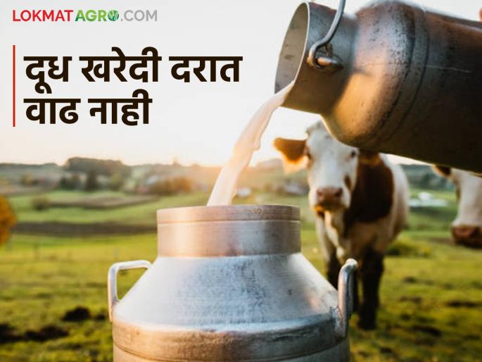 Dudh Dar: Rupee increase from other unions in the state but no increase in milk purchase price of 'Gokul', 'Warana' | Dudh Dar : राज्यातील इतर संघांकडून रुपयाची वाढ मात्र 'गोकुळ', 'वारणा'च्या दूध खरेदी दरात वाढ नाही