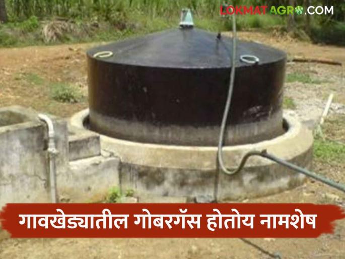 Gobargas : result of decline in livestock; Disregarding dung gas, citizens tend towards modern gas | Gobargas : पशुधनात घट झाल्याचा परिणाम; गोबर गॅसकडे दुर्लक्ष करत नागरिकांचा आधुनिक गॅसकडे कल Gobargas : result of decline in livestock; Disregarding dung gas, citizens tend towards modern gas | Gobargas : पशुधनात घट झाल्याचा परिणाम; गोबर गॅसकडे दुर्लक्ष करत नागरिकांचा आधुनिक गॅसकडे कल
