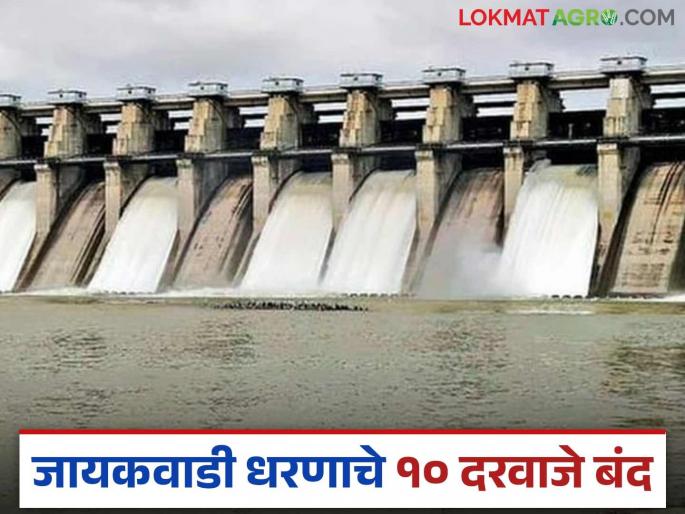 10 gates of Jayakwadi Dam have been closed; currently 4,192 cusecs of discharge is being released through eight gates | जायकवाडी धरणाचे १० दरवाजे करण्यात आले बंद; सध्या आठ दरवाज्यातून सुरू आहे चार हजार १९२ क्युसेक विसर्ग