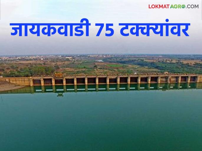 Water inflow slows down as rains stop in Nashik district; Jayakwadi at 75 percent | नाशिक जिल्ह्यातील पाऊस बंद झाल्याने पाण्याची आवक मंदावली; जायकवाडी ७५ टक्क्यांवर Water inflow slows down as rains stop in Nashik district; Jayakwadi at 75 percent | नाशिक जिल्ह्यातील पाऊस बंद झाल्याने पाण्याची आवक मंदावली; जायकवाडी ७५ टक्क्यांवर
