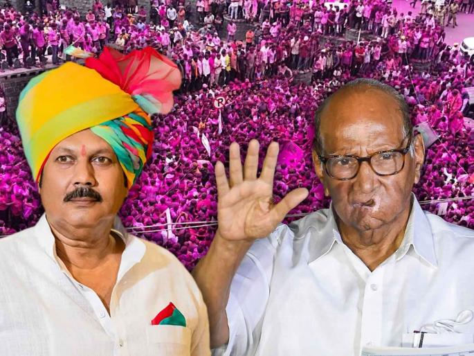 The victory of Udayanraje Bhosale in the Satara Lok Sabha constituency is a shock to the NCP Sharad Pawar party | Satara Lok Sabha Election Result 2024: राष्ट्रवादीचा बालेकिल्ला ढासळला; उदयनराजेंचे कमबॅक The victory of Udayanraje Bhosale in the Satara Lok Sabha constituency is a shock to the NCP Sharad Pawar party | Satara Lok Sabha Election Result 2024: राष्ट्रवादीचा बालेकिल्ला ढासळला; उदयनराजेंचे कमबॅक