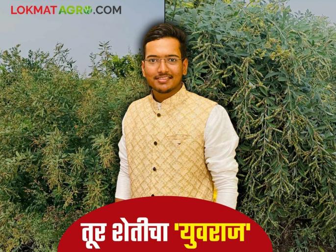 Agriculture Success Story: Agricultural education is yielding benefits; Yuvraj has gained special expertise in tur production | Agriculture Success Story : कृषी शिक्षणाचा होतोय फायदा; तुर उत्पादनात युवराजने मिळविला विशेष हातखंडा Agriculture Success Story: Agricultural education is yielding benefits; Yuvraj has gained special expertise in tur production | Agriculture Success Story : कृषी शिक्षणाचा होतोय फायदा; तुर उत्पादनात युवराजने मिळविला विशेष हातखंडा