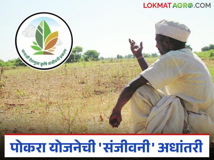 Pokhara Yojana's 'Sanjeevani' is in limbo; The second phase in the state is being delayed | पोकरा योजनेची 'संजीवनी' अधांतरी; राज्यातील दुसऱ्या टप्याला होतोय विलंब Pokhara Yojana's 'Sanjeevani' is in limbo; The second phase in the state is being delayed | पोकरा योजनेची 'संजीवनी' अधांतरी; राज्यातील दुसऱ्या टप्याला होतोय विलंब