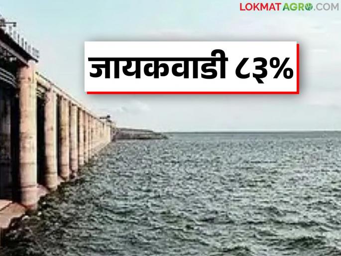 Jayakwadi at 83 percent, but many projects in Marathwada remain dry | जायकवाडी ८३ टक्क्यांवर पण मराठवाड्यातील अनेक प्रकल्प मात्र अध्यापही कोरडेच Jayakwadi at 83 percent, but many projects in Marathwada remain dry | जायकवाडी ८३ टक्क्यांवर पण मराठवाड्यातील अनेक प्रकल्प मात्र अध्यापही कोरडेच