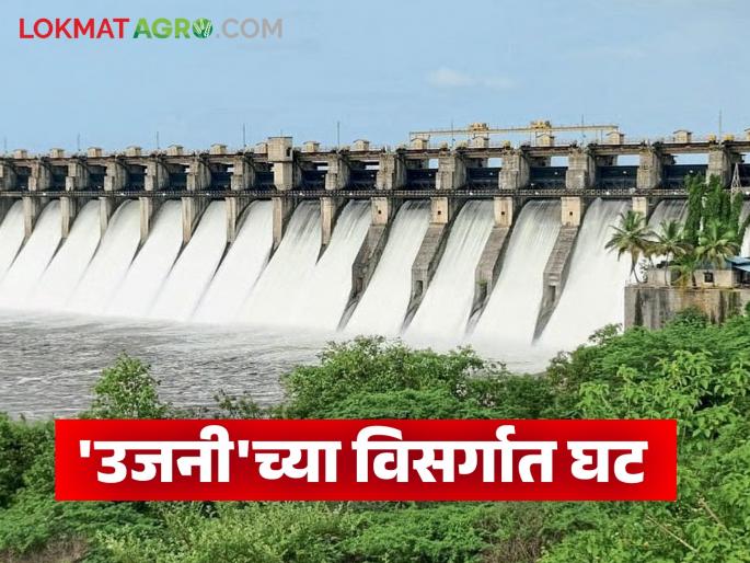 Rains ease, discharge decreases; Eight Kolhapur-style dams on Bhima river open, crop damage assessment begins | पावसाची विश्रांती विसर्गात घट; भीमा नदीवरील आठ कोल्हापूर पद्धतीचे बंधारे उघडे तर पीक नुकसानीच्या पंचनाम्याला सुरुवात