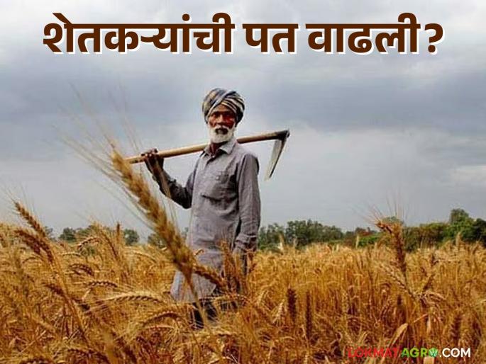 Campaign to increase cotton productivity; Six-year campaign to achieve self-sufficiency in pulses | कापूस उत्पादकता वाढविण्यासाठी मोहीम; डाळींमध्ये स्वयंपूर्णता मिळविण्यासाठी सहा वर्षांचे अभियान