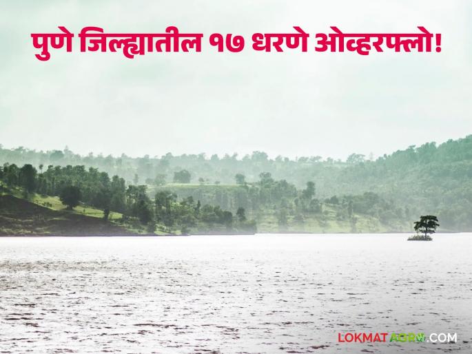 17 out of 26 dams in Pune district overflow; 8 dams are at the limit and only one dam has up to 70 percent water storage | पुणे जिल्ह्यातील २६ धरणांपैकी १७ धरणे ओव्हर फ्लो; ८ धरणे शंभरीच्या काठावर तर केवळ एका धरणात ७० टक्क्यांपर्यंत पाणीसाठा 17 out of 26 dams in Pune district overflow; 8 dams are at the limit and only one dam has up to 70 percent water storage | पुणे जिल्ह्यातील २६ धरणांपैकी १७ धरणे ओव्हर फ्लो; ८ धरणे शंभरीच्या काठावर तर केवळ एका धरणात ७० टक्क्यांपर्यंत पाणीसाठा