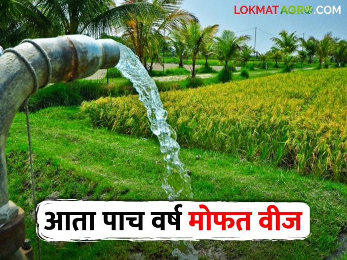 Free Electricity GR launched; Free electricity for 5 years to 44 lakh farmers in the state | Free Electricity जीआर निघाला; राज्यातील ४४ लाख शेतकऱ्यांना पाच वर्षे मोफत वीज Free Electricity GR launched; Free electricity for 5 years to 44 lakh farmers in the state | Free Electricity जीआर निघाला; राज्यातील ४४ लाख शेतकऱ्यांना पाच वर्षे मोफत वीज