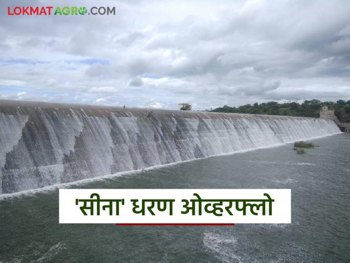 Sina Dam filled in June for the first time in 40 years; Water started flowing from the spillway | ४० वर्षांत प्रथमच जूनमध्ये भरले सीना धरण; सांडव्यावरून वाहू लागले पाणी Sina Dam filled in June for the first time in 40 years; Water started flowing from the spillway | ४० वर्षांत प्रथमच जूनमध्ये भरले सीना धरण; सांडव्यावरून वाहू लागले पाणी