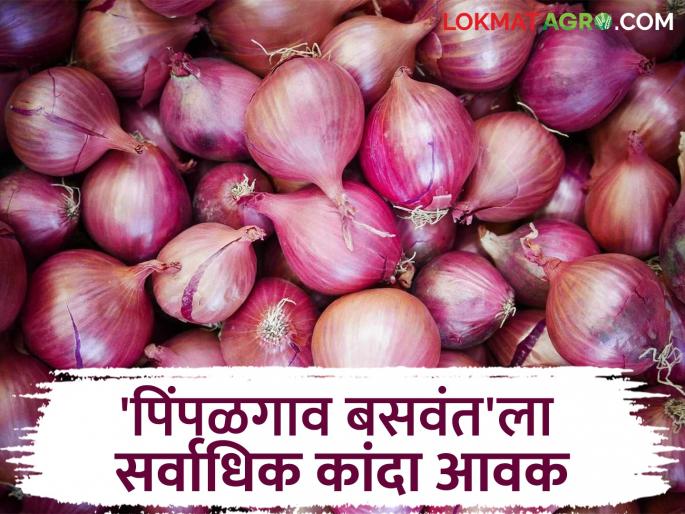 Kanda Bazaar Bhav: Prices remain stable despite low arrivals in the market; Read today's onion market prices in the state | Kanda Bajar Bhav : बाजारात आवक कमी तरीही दर स्थिर; वाचा राज्यातील आजचे कांदा बाजारभाव Kanda Bazaar Bhav: Prices remain stable despite low arrivals in the market; Read today's onion market prices in the state | Kanda Bajar Bhav : बाजारात आवक कमी तरीही दर स्थिर; वाचा राज्यातील आजचे कांदा बाजारभाव