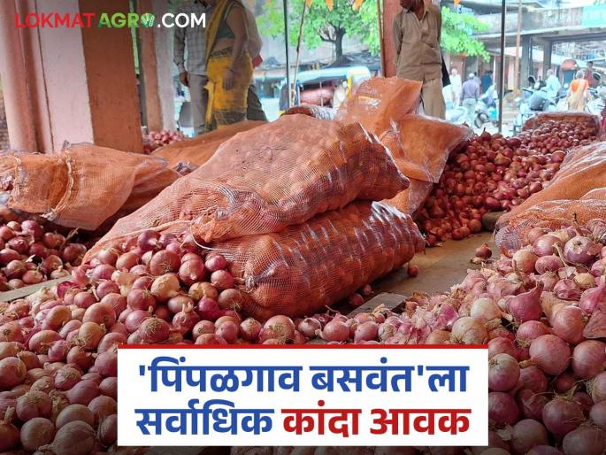 Summer is in Pimpalgaon Baswant Bazaar, while the highest arrival of red onions is in Solapur; Read today's onion market price | पिंपळगाव बसवंत बाजारात उन्हाळ तर सोलापुरात लाल कांद्याची सर्वाधिक आवक; वाचा आजचे कांदा बाजारभाव