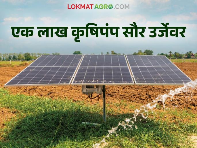 Agricultural pumps on solar energy in the fields of one lakh farmers in the state; Read district-wise how many farmers have benefited | राज्यातील एक लाख शेतकऱ्यांच्या शेतावर कृषिपंप सौरउर्जेवर; जिल्हानिहाय वाचा किती शेतकऱ्यांनी घेतला फायदा Agricultural pumps on solar energy in the fields of one lakh farmers in the state; Read district-wise how many farmers have benefited | राज्यातील एक लाख शेतकऱ्यांच्या शेतावर कृषिपंप सौरउर्जेवर; जिल्हानिहाय वाचा किती शेतकऱ्यांनी घेतला फायदा