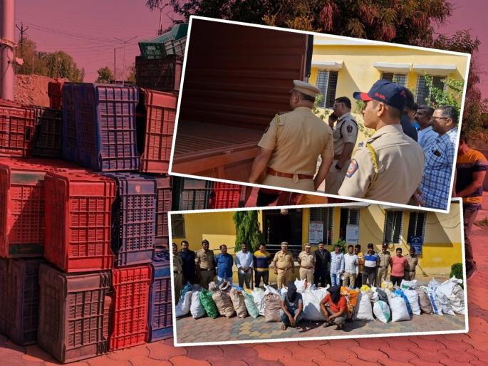 Empty carat behind and sandalwood in front, 'Pushpa' style theft exposed, sandalwood worth 2 crore seized | मागे रिकामे कॅरेट अन् समोर चंदनाच्या गोण्या, 'पुष्पा' स्टाईल चोरी उघडकीस, 2 कोटींचे चंदन जप्त