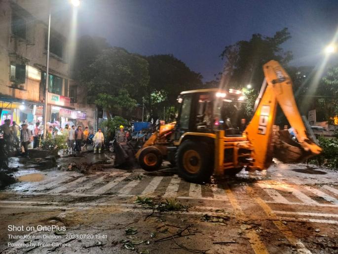 A fallen banyan tree blocked the road for one and a half hours; Massive traffic jams | पडलेल्या वडाच्या झाडाने दीड तास रोखला रस्ता; मोठया प्रमाणात वाहतुकी कोंडी A fallen banyan tree blocked the road for one and a half hours; Massive traffic jams | पडलेल्या वडाच्या झाडाने दीड तास रोखला रस्ता; मोठया प्रमाणात वाहतुकी कोंडी