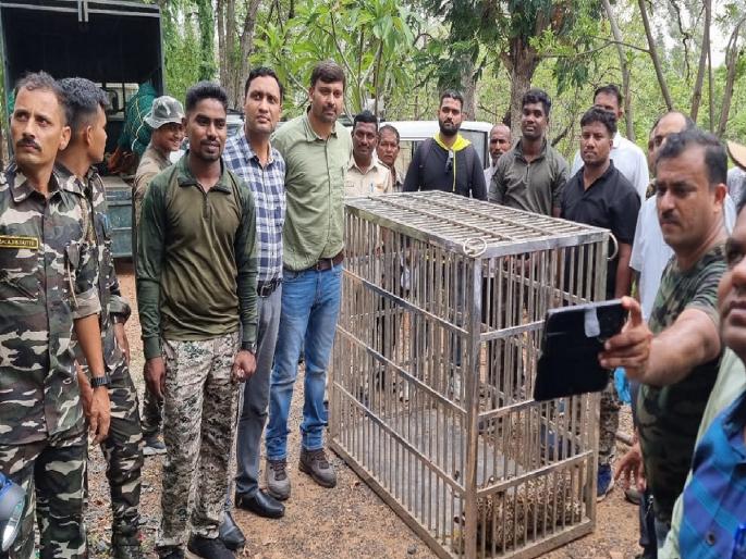 Leopard rescued from Chulband rest house area | चूलबंद विश्रामगृह परिसरातून बिबट्याला केले रेस्क्यू Leopard rescued from Chulband rest house area | चूलबंद विश्रामगृह परिसरातून बिबट्याला केले रेस्क्यू