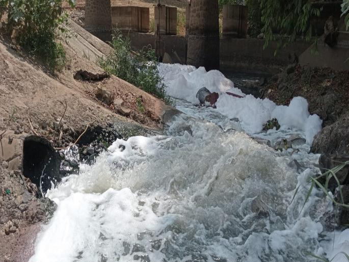 Sewage from Sherinalya back into Krishna river | शेरीनाल्याचे सांडपाणी पुन्हा कृष्णा नदीत Sewage from Sherinalya back into Krishna river | शेरीनाल्याचे सांडपाणी पुन्हा कृष्णा नदीत