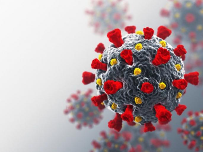 The number of corona positive patients in Chandrapur district is 19 | Corona Virus in Chandrapur; चंद्रपूर जिल्ह्यातील कोरोना पॉझिटिव्ह रुग्णांची संख्या १९ वर The number of corona positive patients in Chandrapur district is 19 | Corona Virus in Chandrapur; चंद्रपूर जिल्ह्यातील कोरोना पॉझिटिव्ह रुग्णांची संख्या १९ वर