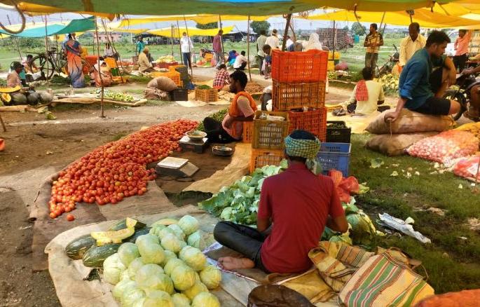 Tomato prices skyrocketed in Chandrapur district | चंद्रपूर जिल्ह्यात टोमॅटोचे भाव आकाशाला भिडले Tomato prices skyrocketed in Chandrapur district | चंद्रपूर जिल्ह्यात टोमॅटोचे भाव आकाशाला भिडले