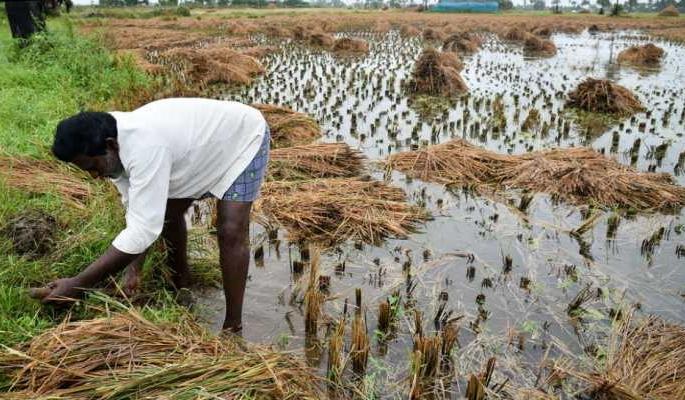 Good News; In Solapur district, the victims of April and May will get help before Diwali | Good News; सोलापूर जिल्ह्यातील एप्रिल, मे च्या अवकाळीग्रस्तांना मिळेल दिवाळीपूर्वी मदत