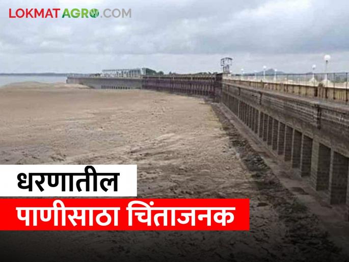 Dam Water: There is so much water left in important dams in Pune, Nashik, Nagar, Marathwada.. | Dam Water: पुणे, नाशिक, नगर, मराठवाड्यातील महत्वाच्या धरणांमध्ये एवढं पाणी राहिलेय शिल्लक.. Dam Water: There is so much water left in important dams in Pune, Nashik, Nagar, Marathwada.. | Dam Water: पुणे, नाशिक, नगर, मराठवाड्यातील महत्वाच्या धरणांमध्ये एवढं पाणी राहिलेय शिल्लक..