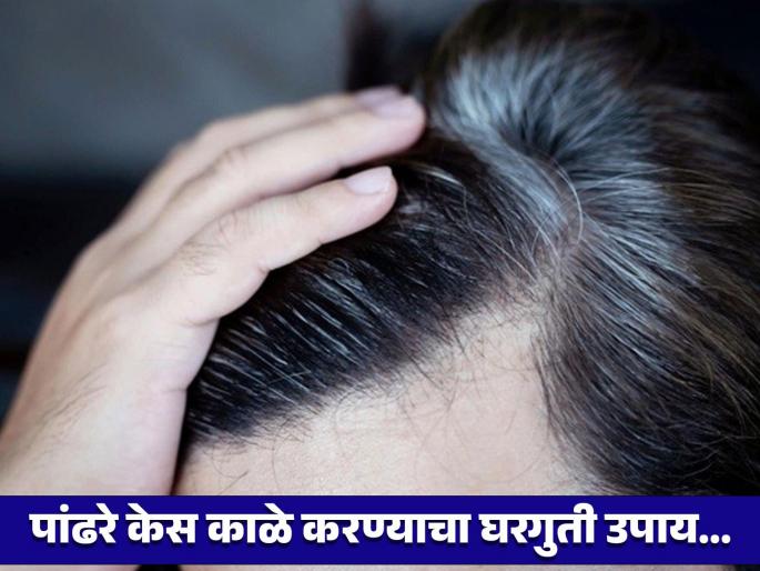Doctor suggested special to turn white hair black easily, know how to make hair pack | डॉक्टरांनी पांढरे केस लगेच काळे करण्याचा सांगितला खास उपाय, घरीच 'असा' तयार करा हेअर पॅक! Doctor suggested special to turn white hair black easily, know how to make hair pack | डॉक्टरांनी पांढरे केस लगेच काळे करण्याचा सांगितला खास उपाय, घरीच 'असा' तयार करा हेअर पॅक!