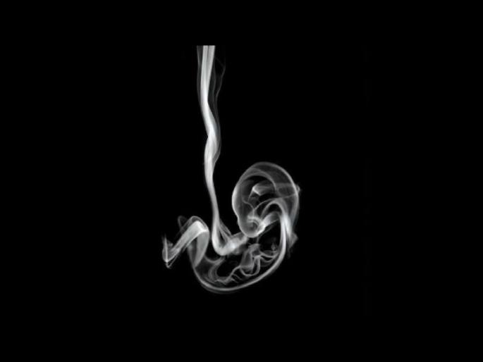 Personality Test : What did you see first smoke or baby know your true personality optical illusion | फोटोत तुम्हाला आधी धूर दिसला की बाळाचा शेप? त्यावरून कळेल तुमचा स्वभाव Personality Test : What did you see first smoke or baby know your true personality optical illusion | फोटोत तुम्हाला आधी धूर दिसला की बाळाचा शेप? त्यावरून कळेल तुमचा स्वभाव