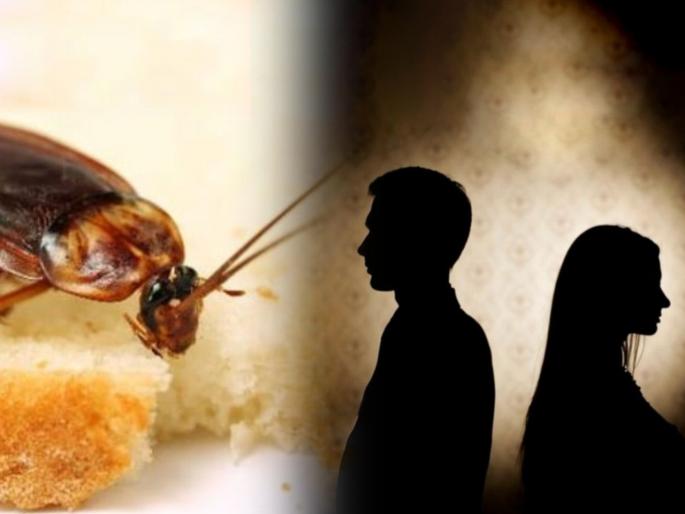Wife feared cockroach husband wants divorce in Bhopal Madhya Pradesh | बोंबला! पत्नीला वाटते झुरळांची भीती, सॉफ्टवेअर इंजिनिअर पतीने मागितला घटस्फोट! Wife feared cockroach husband wants divorce in Bhopal Madhya Pradesh | बोंबला! पत्नीला वाटते झुरळांची भीती, सॉफ्टवेअर इंजिनिअर पतीने मागितला घटस्फोट!