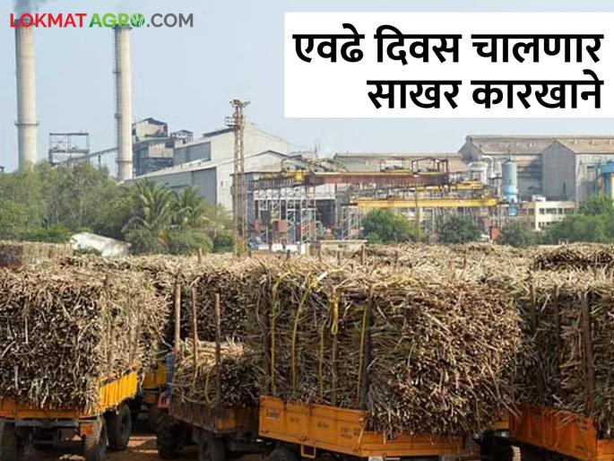 73 sugar factories in the state shut down! How many days will the sugar factory run? | राज्यातील ७३ साखर कारखान्यांचे गाळप बंद! किती दिवस चालणार साखर कारखाने? 73 sugar factories in the state shut down! How many days will the sugar factory run? | राज्यातील ७३ साखर कारखान्यांचे गाळप बंद! किती दिवस चालणार साखर कारखाने?