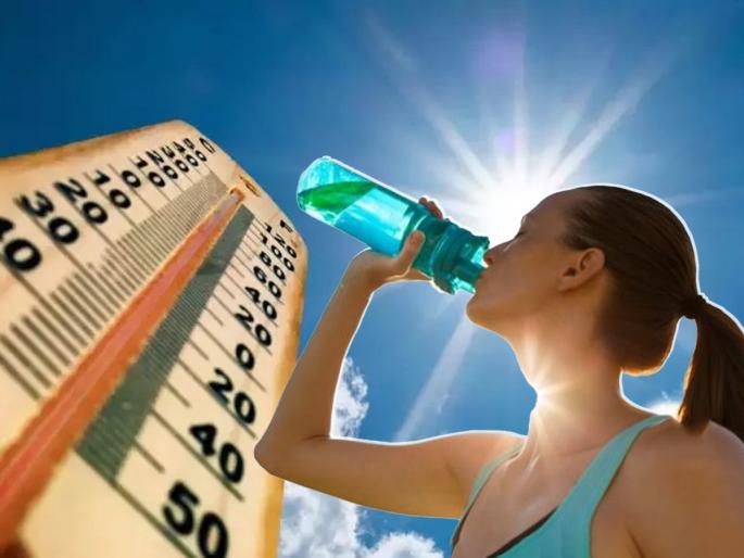 Summer Health Tips : Harmful effects eating stale and frowzy food in summers | उन्हाळ्यात चुकूनही करू नका या चुका, आरोग्यासाठी पडू शकतात महागात Summer Health Tips : Harmful effects eating stale and frowzy food in summers | उन्हाळ्यात चुकूनही करू नका या चुका, आरोग्यासाठी पडू शकतात महागात