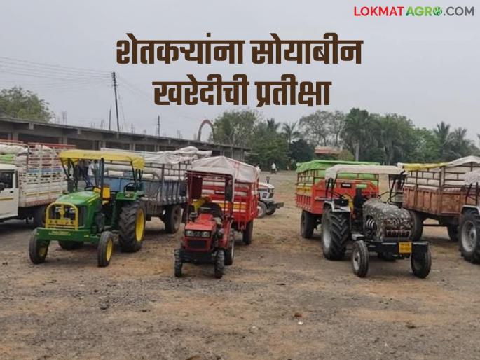 Nafed gave the reason that the target was met; teachers are yet to purchase a large quantity of soybeans | उद्दिष्ट पूर्ण झाल्याचे नाफेडने दिले कारण; अध्याप मोठ्या प्रमाणात सोयाबीन खरेदी बाकी Nafed gave the reason that the target was met; teachers are yet to purchase a large quantity of soybeans | उद्दिष्ट पूर्ण झाल्याचे नाफेडने दिले कारण; अध्याप मोठ्या प्रमाणात सोयाबीन खरेदी बाकी