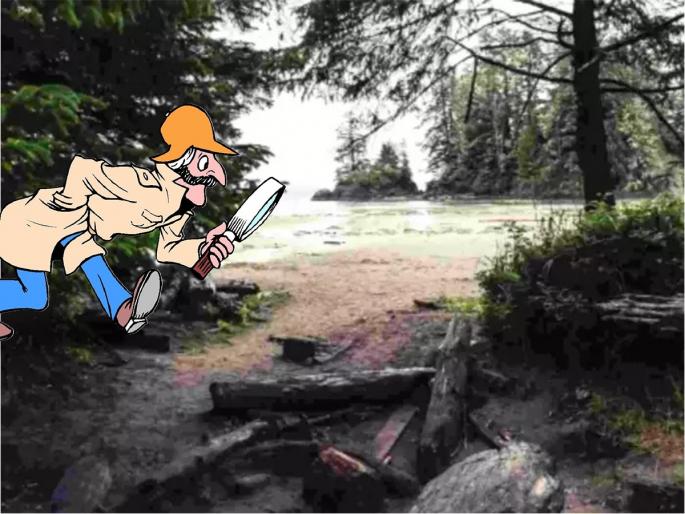 Optical illusion : Crow hidden inside picture within seven second | Brain Teaser : नदी किनारी लपला आहे एक कावळा, 7 सेकंदात शोधाल तर ठराल जीनिअस Optical illusion : Crow hidden inside picture within seven second | Brain Teaser : नदी किनारी लपला आहे एक कावळा, 7 सेकंदात शोधाल तर ठराल जीनिअस