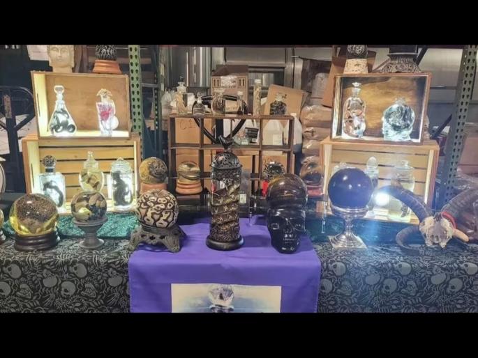 This is how a woman uses the remains of dead animals, you will be speechless | मृत प्राण्यांच्या अवशेषांचा असा उपयोग करते महिला, कसा ते वाचून व्हाल अवाक्... This is how a woman uses the remains of dead animals, you will be speechless | मृत प्राण्यांच्या अवशेषांचा असा उपयोग करते महिला, कसा ते वाचून व्हाल अवाक्...