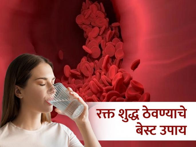 Eat these natural blood purifier foods to clean your blood naturally at home | रक्तातील विषारी पदार्थ साफ करण्याचे नैसर्गिक उपाय, अनेक आजार होतील दूर Eat these natural blood purifier foods to clean your blood naturally at home | रक्तातील विषारी पदार्थ साफ करण्याचे नैसर्गिक उपाय, अनेक आजार होतील दूर
