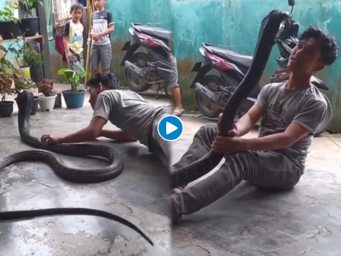 Viral video : Man play with giant snake viral video | बाप रे बाप! केवढा मोठा साप, तरूणाचा सापासोबत डान्सचा व्हिडीओ व्हायरल Viral video : Man play with giant snake viral video | बाप रे बाप! केवढा मोठा साप, तरूणाचा सापासोबत डान्सचा व्हिडीओ व्हायरल