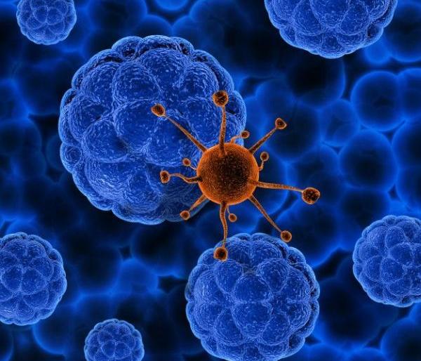 The number of victims in Gondia district has crossed 2000 | गोंदिया जिल्ह्यातील कोरोनाबाधितांचा आकडा २००० पार The number of victims in Gondia district has crossed 2000 | गोंदिया जिल्ह्यातील कोरोनाबाधितांचा आकडा २००० पार