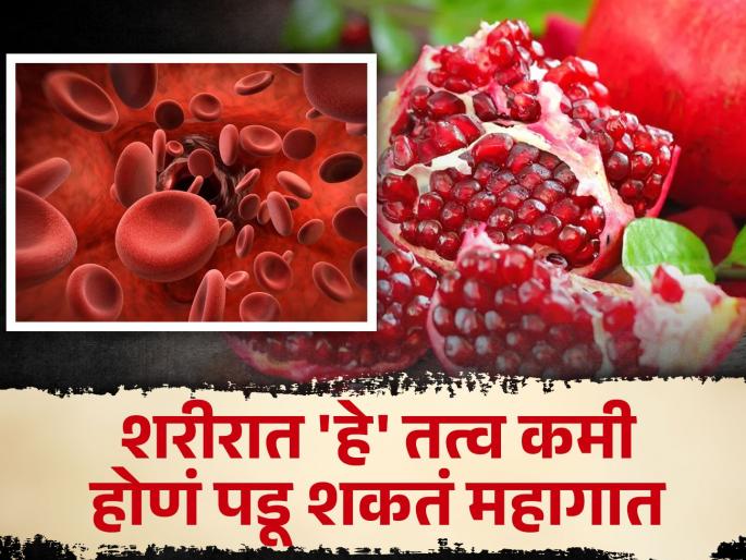 Iron rich fruits that can increase hemoglobin level in body naturally | 'हे' तत्व शरीरात कमी झालं तर कमी होईल रक्त, ठप्प पडतील फुप्फुसं; लगेच करा हे उपाय