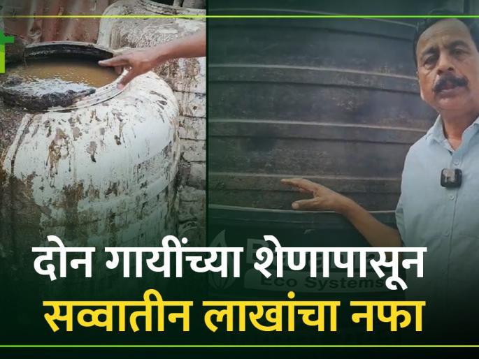 How can farmers save Rs. 350,000 per year from the dung of two cows, biogas and slurry? | दोन गायींचे शेण, बायोगॅस अन् स्लरीतून शेतकऱ्यांचे वर्षाकाठी सव्वातीन लाख रूपये कसे वाचतात? How can farmers save Rs. 350,000 per year from the dung of two cows, biogas and slurry? | दोन गायींचे शेण, बायोगॅस अन् स्लरीतून शेतकऱ्यांचे वर्षाकाठी सव्वातीन लाख रूपये कसे वाचतात?