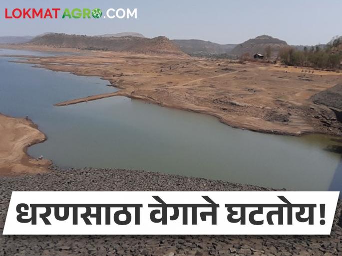 The dam stock is decreasing! Now how much water is left in the dams in the state? | धरणसाठा खालावतोय! आता राज्यातील धरणांमध्ये किती पाणी उरलंय? The dam stock is decreasing! Now how much water is left in the dams in the state? | धरणसाठा खालावतोय! आता राज्यातील धरणांमध्ये किती पाणी उरलंय?