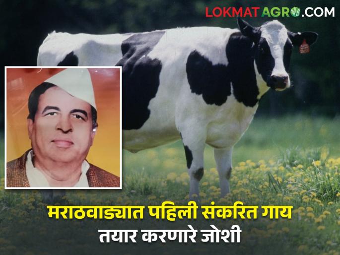 Who was Vaman Joshi who introduced the hybrid cow to Marathwada? | मराठवाड्याला संकरित गायीची ओळख करून देणारे वामन जोशी कोण होते? Who was Vaman Joshi who introduced the hybrid cow to Marathwada? | मराठवाड्याला संकरित गायीची ओळख करून देणारे वामन जोशी कोण होते?