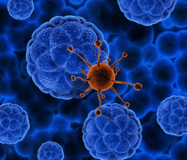 Corona patients continue to fluctuate in Nagpur district | नागपूर जिल्ह्यात कोरोनाचा रुग्णांत चढ उतार सुरूच Corona patients continue to fluctuate in Nagpur district | नागपूर जिल्ह्यात कोरोनाचा रुग्णांत चढ उतार सुरूच