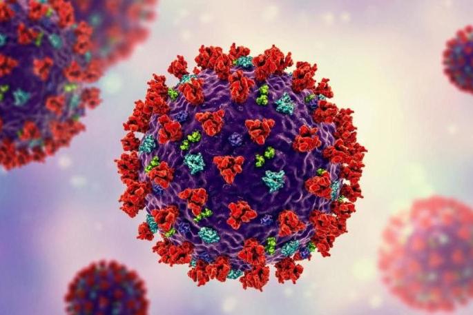 CoronaVirus in Nagpur: 4000 corona victims died | CoronaVirus in Nagpur : ४००० कोरोनाबाधितांचा गेला जीव CoronaVirus in Nagpur: 4000 corona victims died | CoronaVirus in Nagpur : ४००० कोरोनाबाधितांचा गेला जीव