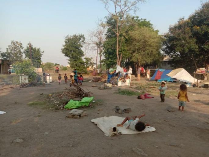 There is no support for the people living on the old Kamathi Road in the capital | उपराजधानीत जुन्या कामठी रोडवर पालात राहणाऱ्या भटक्यांना नाही कसलाच आधार