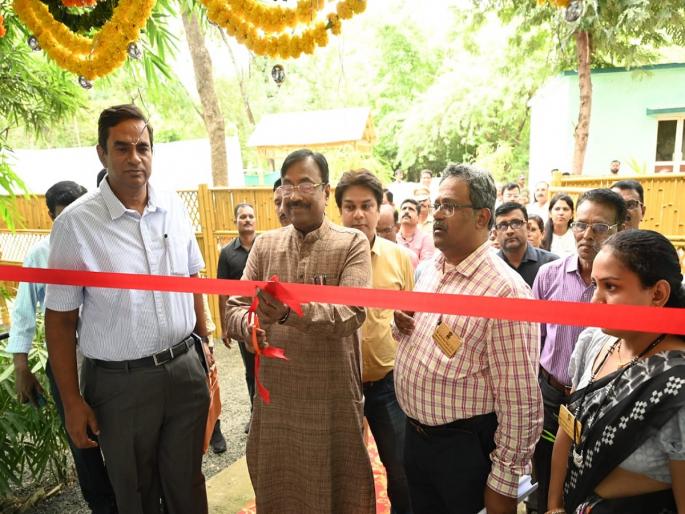 Will encourage bamboo production growth and industry based on it in the state: Sudhir Mungantiwar | राज्यात बांबू उत्पादन वाढ आणि त्याआधारित उद्योगाला प्रोत्साहन देणार :सुधीर मुनगंटीवार Will encourage bamboo production growth and industry based on it in the state: Sudhir Mungantiwar | राज्यात बांबू उत्पादन वाढ आणि त्याआधारित उद्योगाला प्रोत्साहन देणार :सुधीर मुनगंटीवार