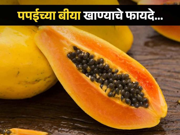 Amazing health benefits of eating papaya seeds | बॉडी डिटॉक्स ते वजन कमी करणं अनेक गोष्टींसाठी फायदेशीर पपई बीया, वाचा कशा खाल! Amazing health benefits of eating papaya seeds | बॉडी डिटॉक्स ते वजन कमी करणं अनेक गोष्टींसाठी फायदेशीर पपई बीया, वाचा कशा खाल!