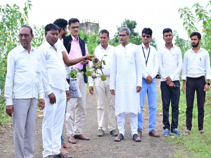 Employment opportunities for the local youth will be sought from the watershed problem in the Gosekhurd project | गोसेखुर्द प्रकल्पातील जलपर्णीच्या समस्येतून स्थानिक युवकांसाठी शोधणार रोजगाराच्या संधी Employment opportunities for the local youth will be sought from the watershed problem in the Gosekhurd project | गोसेखुर्द प्रकल्पातील जलपर्णीच्या समस्येतून स्थानिक युवकांसाठी शोधणार रोजगाराच्या संधी