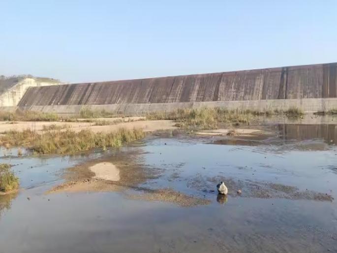 Dams in West Vidarbha have only 38 percent water storage | पश्चिम विदर्भातील धरणांमध्ये केवळ ३८ टक्के जलसाठा Dams in West Vidarbha have only 38 percent water storage | पश्चिम विदर्भातील धरणांमध्ये केवळ ३८ टक्के जलसाठा
