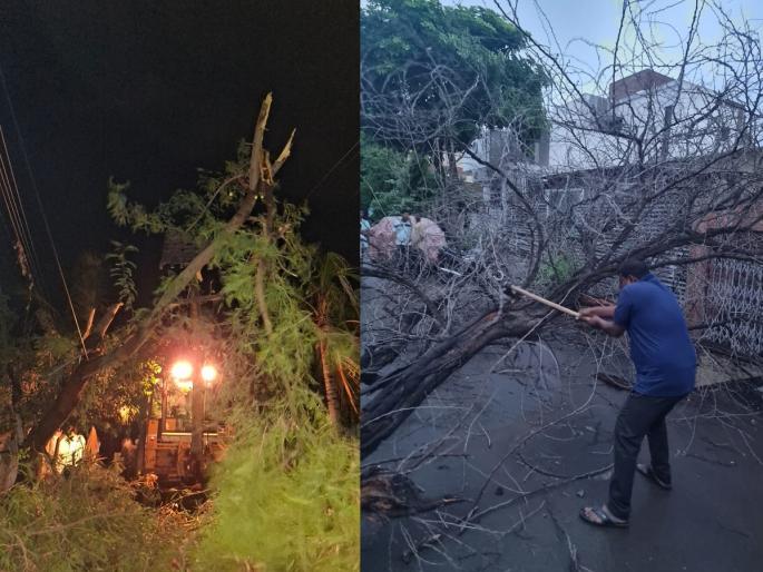 Due to strong wind, trees fell in Solapur, electricity supply was stopped for four and a half hours in many areas | वादळी वाऱ्यामुळे साेलापुरात झाडे पडली, अनेक भागात साडेचार तास वीज पुरवठा ठप्प Due to strong wind, trees fell in Solapur, electricity supply was stopped for four and a half hours in many areas | वादळी वाऱ्यामुळे साेलापुरात झाडे पडली, अनेक भागात साडेचार तास वीज पुरवठा ठप्प