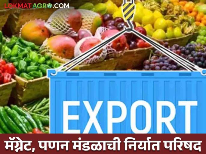 Export Conference Flowers Fruits vegetables Export Conference organized by Panan and Magnet in Pune | Export Conference : पुण्यात पणन आणि मॅग्नेटकडून फुले, फळे व भाजीपाला निर्यात परिषदेचे आयोजन Export Conference Flowers Fruits vegetables Export Conference organized by Panan and Magnet in Pune | Export Conference : पुण्यात पणन आणि मॅग्नेटकडून फुले, फळे व भाजीपाला निर्यात परिषदेचे आयोजन